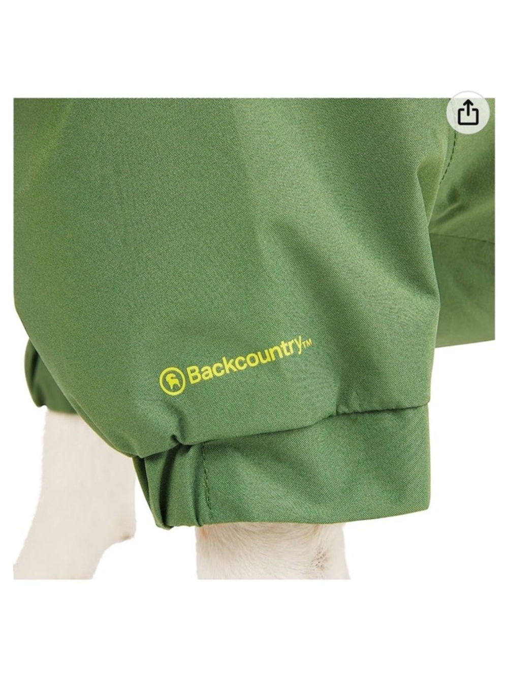 Backcountry x Petco Green Rain Dog Jacket in Green Size XL - Picture 11 of 12
